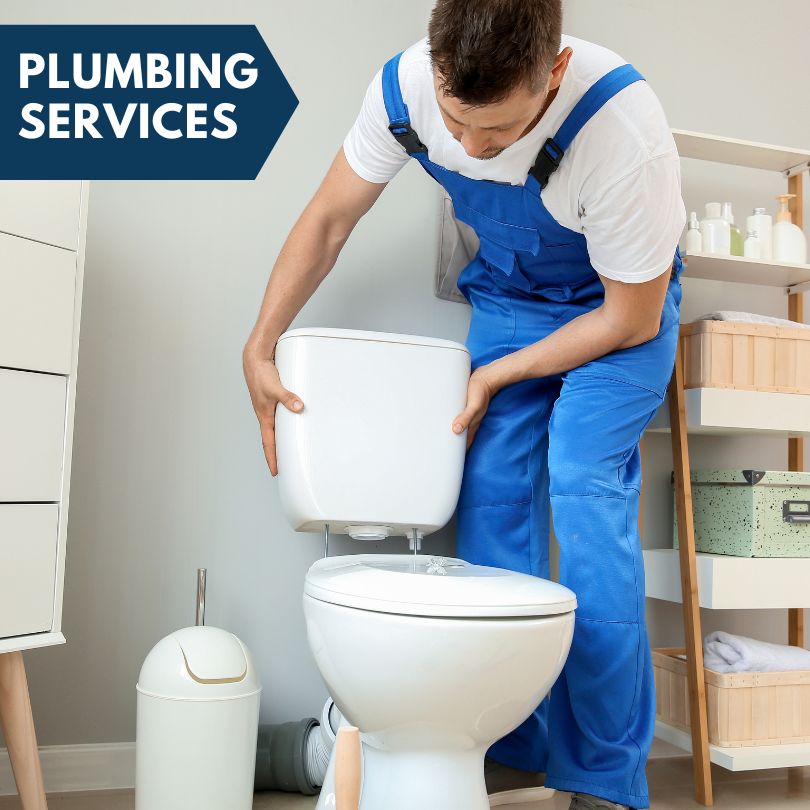 Plumbing Company in Hartshorn, MO